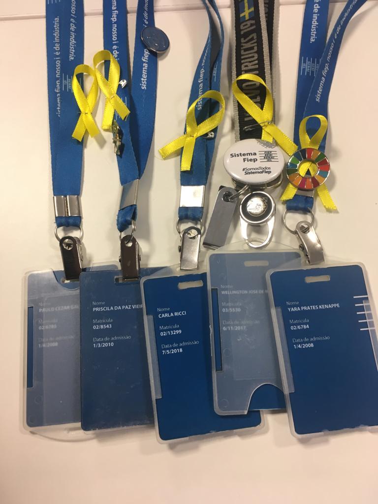 CIFAL Curitiba Promotes the Yellow May Campaign to Advance Road Safety